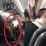 Otobüste maske takmak istemeyen kadın terör estirdi