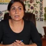 CHP, polise taş fırlatan HDP'li Tuğluk'a özgürlük istedi