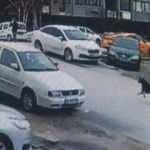Sokak köpekleri dehşet saçmaya devam ediyor!Bu seferki adresi Ankara