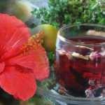 Hibiskus çayının akciğere faydaları nelerdir? Hibiskus çayı günde kaç defa içilir?