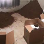 Yalova'da 548 kilogram kaçak tütün ele geçirildi; 17 gözaltı