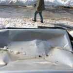 Hatay'da kardan çatısı çöken ahırdaki 40 büyükbaş telef oldu	
