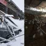 Malatya&rsquo;da &ccedil;atı &ccedil;&ouml;kt&uuml;, 30 bin tavuk &ouml;ld&uuml;! 7 milyon TL&rsquo;lik zarar oluştu