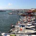 Marmara'da lodos balıkçıları da vurdu