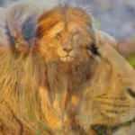 Rüyada aslan görmek ne anlama gelir? Rüyada aslandan kaçmak hayırlı mıdır?