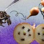 Saf antibiyotik: Soğana 4-5 karanfil batırın ve...
