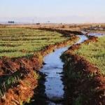 Şanlıurfa'da kuraklık tehlikesi çiftçileri endişelendiriyor