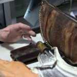 T&uuml;rk girişimci farketti! Denizlerdeki kabustu şimdi yeni favori oldu...