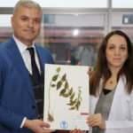 Türkiye'de yeni bir bitki türü keşfedildi: Anadolu Zilasuru