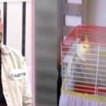 Esra Erol'un programında ilginç 'Papağan' kavgası