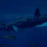 Robot balina k&ouml;pekbalığı tanıtıldı! G&ouml;renler inanamadı