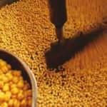 Seydişehir Leblebisi&rsquo;ne coğrafi işaret başvurusu yapıldı 