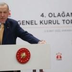 Cumhurbaşkanı Erdoğan'dan Kış Kartalı a&ccedil;ıklaması: Ka&ccedil;acak yer bulamadılar