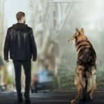 Yalnız Kurt dizisindeki o sahne olay oldu! Yeni Kurtlar Vadisi olarak anılan dizinin sırrı...