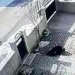 Damat dehşet sa&ccedil;tı! Boşanma aşamasındaki eşi ve kayınvalidesini b&ouml;yle vurdu