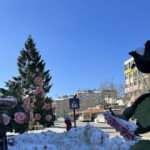 Isparta'da hayat normale döndü