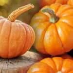 Rüyada büyük bal kabağı görmek ne demek? Rüyada bal kabağı tarlası görmek hayırlı mıdır?