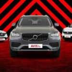 Avis Filo sekt&ouml;rdeki liderliğini s&uuml;rd&uuml;r&uuml;yor