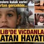 Çadır kamplarda yaşayan Suriyelilerin acı dolu hayat hikayeleri...