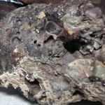 Mantar i&ccedil;in &ccedil;ıktığı arazide 100 kilo g&ouml;k taşı topladı!