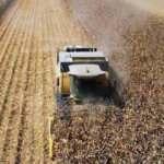  Tarım ÜFE ocakta yıllık yüzde 52 arttı
