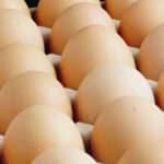 Yumurtada maliyet zammı KDV indirimini etkisiz kıldı