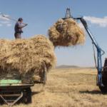 Mazot ve gübre desteği ne zaman ödenecek? 2022 Mart ayı ödemesi ne kadar?