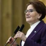 Akşener'den Tarkan'ın şarkısına destek