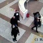 Sahte MİT'&ccedil;i İstanbul'da yakalandı