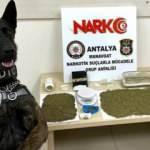 Antalya'da uyuşturucu operasyonunda yakalanan 2 zanlı tutuklandı