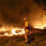 Bakan Pakdemirli: 5 bin yeni yangın işçisi istihdam edilecek