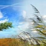 Rüyada rüzgar esmesi ne demek? Rüyada evde rüzgar sesi duymak hayırlı mıdır?