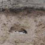 Yol &ccedil;alışması ortaya &ccedil;ıkardı; Şile'de kiremit mezarlar bulundu