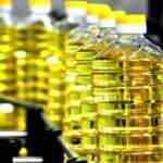 Fırsatçılar hazırda bekledi: İşte ayçiçek yağı spekülasyonunun perde arkası!