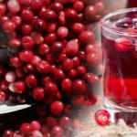 Kızılcık suyu faydaları nelerdir? Kızılcık suyu idrar yolu enfeksiyonuna iyi gelir mi? Kızılcık suyu hazırlanışı...