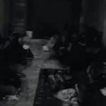 Van'da  baskın yapan polis ahırdan 128 m&uuml;lteci &ccedil;ıkardı