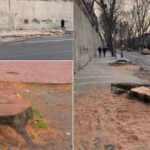 İBB ağa&ccedil; kesimi i&ccedil;in izin bile almamış!