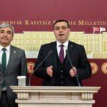 AK Parti'li Taşkın: Çınar ağaçlarının kökünden kesilmesi bir tarih ve kültür katliamıdır