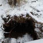 Define kazısı yapanlardan biri profes&ouml;r &ccedil;ıktı