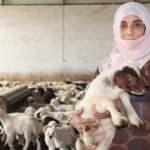 Elazığ&rsquo;da 3 &ccedil;ocuk annesi kadın devlet desteği ile &ccedil;iftlik kurdu! 