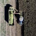 Rusya-Ukrayna savaşı tarıma 'pozitif ayrımcılık' adımlarını hızlandırdı