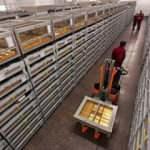 Rusya'ya altın şoku: Alıcı bulamıyor