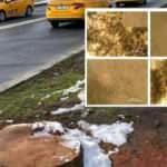 ORFAMDER: Hastalığın yayılmasına İBB sebep olmuştur