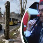 İBB Meclis toplantısında &Ccedil;ırağan Caddesi'ndeki "&Ccedil;ınar ağacı" katliamına tepki