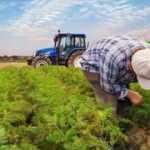 Bakan Kirişçi: Tarımsal destek ödemeleri yarın çiftçilerin hesaplarına aktarılacak