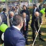 AK Parti İstanbul İl Başkanlığı okul bah&ccedil;esine 112 &ccedil;ınar fidanı dikti