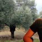 Zeytin toplamaya gitti, 15 aydır kayıp