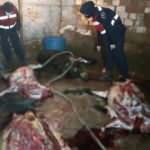 Akhisar'da at ve eşek kesen 5 kişi su&ccedil;&uuml;st&uuml; yakalandı