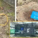 İBB bu kez de Topkapı'da onlarca ağacı kesti