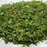 Nesli t&uuml;kenmekte olan Hatay sarısının sayısı arttırılıyor